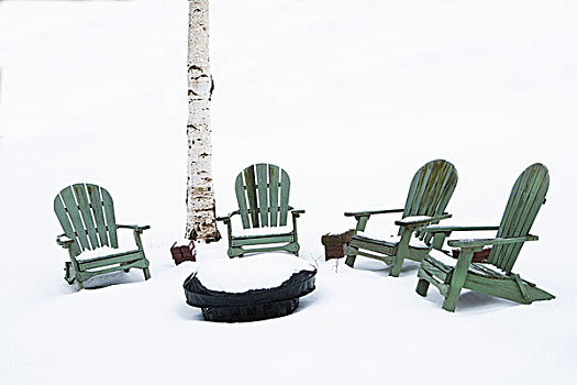火堆,宽木躺椅,雪中,靠近,桦树