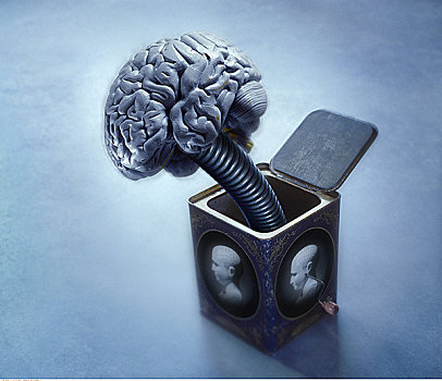 盒子,大脑