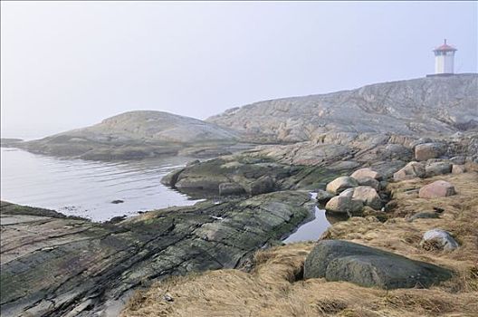 雾状,海岸,瑞典