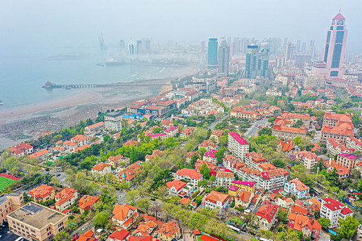 航拍山东青岛市南区城市红瓦绿树风光美景