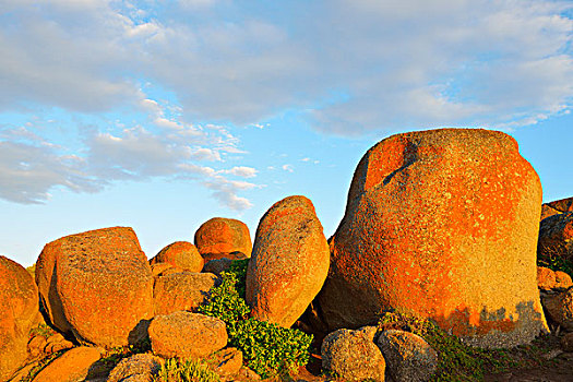 风化,花冈岩,石头,岛屿,港口,南澳大利亚州,澳大利亚