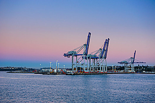 码头,港口,奥克兰,新西兰