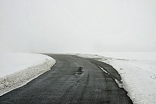 道路,雾,冬天,德国,欧洲