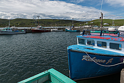 捕鱼,拖船,停泊,港口,布雷顿角岛,新斯科舍省,加拿大