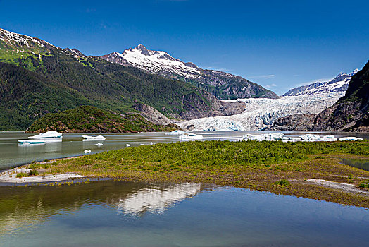 风景,棉田豪冰河,冰,冰山,漂浮,湖,靠近,朱诺,东南阿拉斯加,阿拉斯加,美国