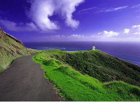 道路,灯塔,雷因格海角