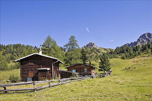 山,住宿,靠近,高山牧场,萨尔茨堡,奥地利,欧洲