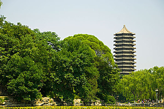 中国高等学府北京大学博雅塔