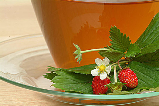 茶,叶子,野草莓,药茶