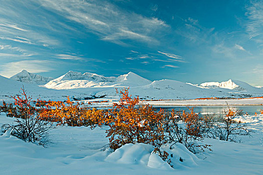 早,雪,国家,公园,挪威,斯堪的纳维亚,欧洲