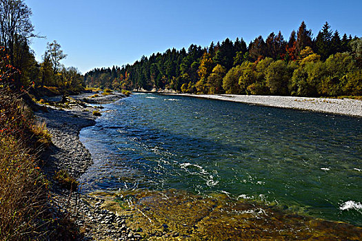 伊萨河,河,秋天,巴伐利亚,德国,欧洲