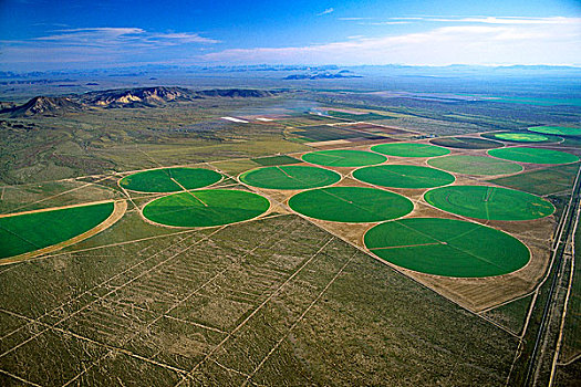 农业,航拍,中心,圆形,地点,荒芜,靠近,亚利桑那,美国