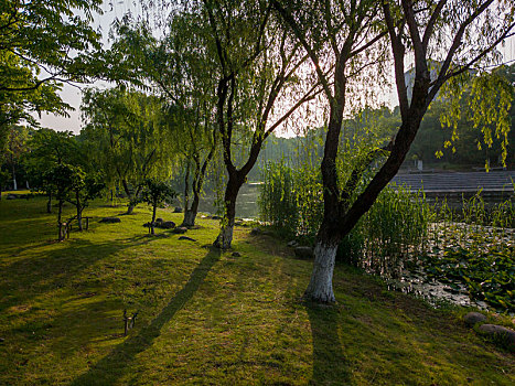 江南大学校园景观