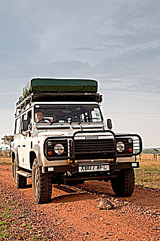 坦桑尼亚,塞伦盖蒂,游客,停止,四驱车,龟,道路