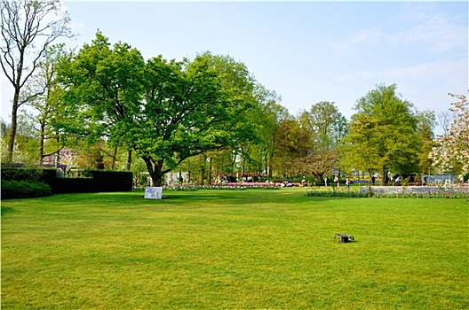 绿色,地点,树,库肯霍夫公园,公园,荷兰