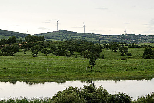 河北承德坝上,国家一道风景大道,夏日风景