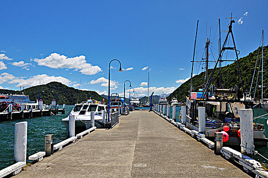 码头,船,皮克顿,马尔伯勒,南岛,新西兰