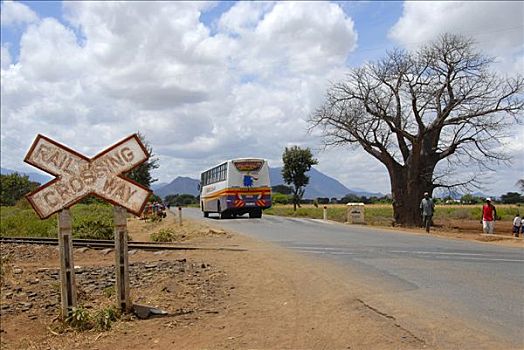 标识,铁道口,长途,巴士,乡间小路,猴面包树,靠近,坦桑尼亚