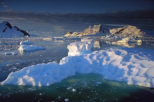 夜光,冰,浮冰,顶峰,天堂湾,南极半岛,南极