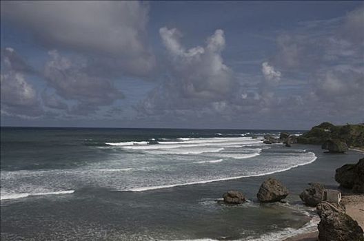 石头,海滩,巴巴多斯
