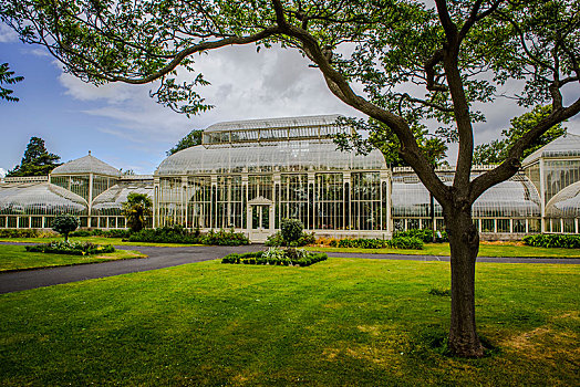 温室,植物园,建筑师,都柏林,爱尔兰,欧洲