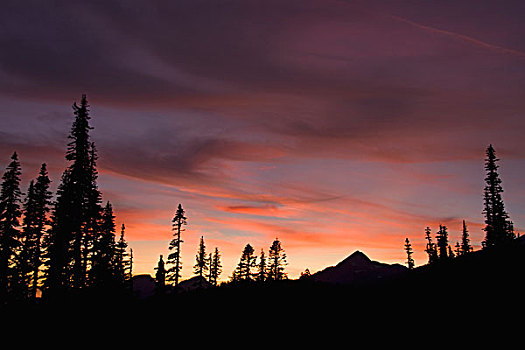 雷尼尔山国家公园,日落