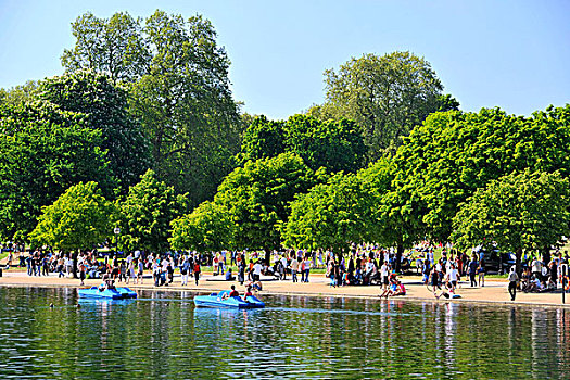 人群,划船,船,海德公园,热,夏天,白天