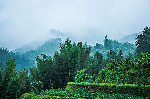 雨雾山景