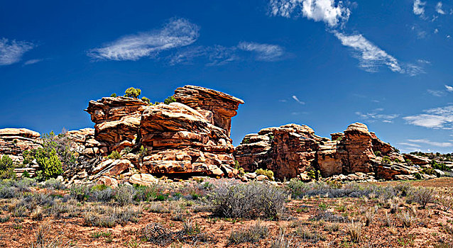石头,荒漠景观,针,峡谷地国家公园,犹他,美国,北美