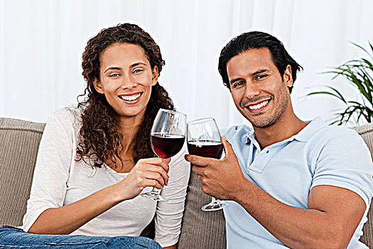 肖像,伴侣,碰杯,红酒,沙发,在家