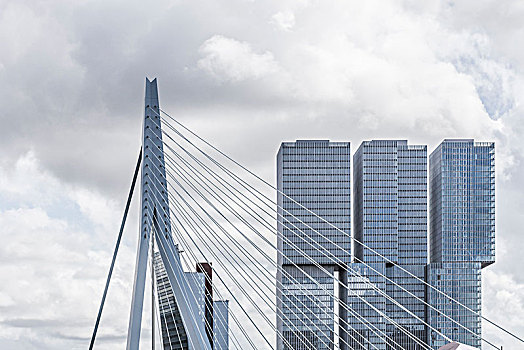 桥,特写,鹿特丹