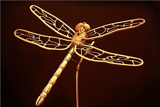金色,蜻蜓