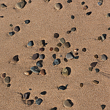 鹅卵石,海滩,因弗内斯,布雷顿角岛,新斯科舍省,加拿大