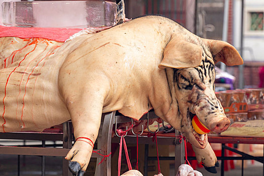 中国鬼节中元普渡信众用大神猪祭祀鬼神