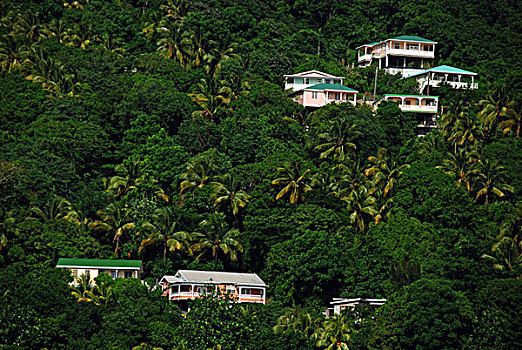 dominica,roseau,view,of,colorful,villages,south,on,the,green,hills