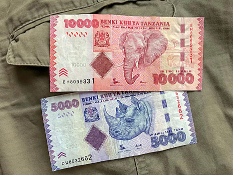 坦桑尼亚,货币,大象,犀牛,旅行队,衣服,象征,偷猎,非洲