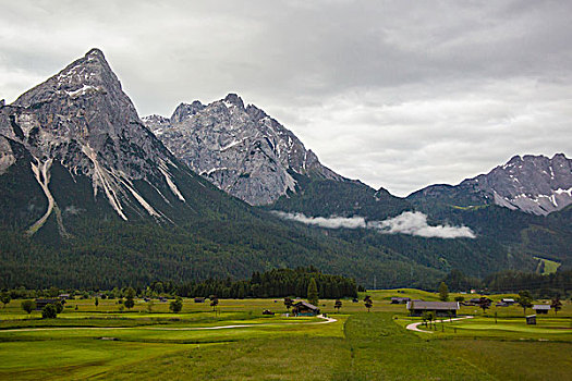 阿尔卑斯山山地牧场