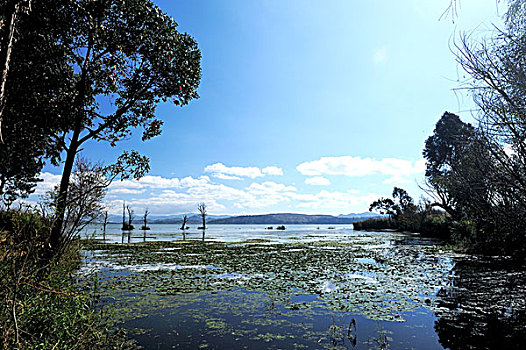 云南昆明洱海湿地