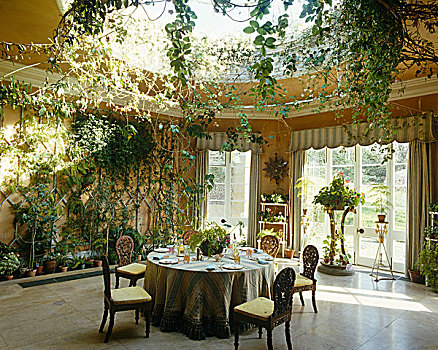 温室,餐厅,玻璃,球形,天花板,繁茂,植物