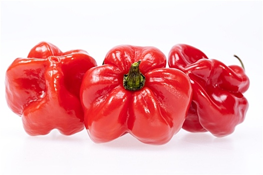 蔬菜,红辣椒,哈瓦那辣椒,隔绝,白色背景,背景