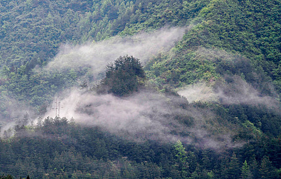 重庆酉阳,晨雾细雨美青山