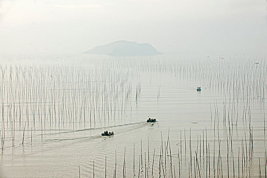 福建宁德市霞浦县北岐村滩涂早晨行驶的渔船