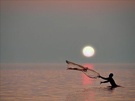 捕鱼者,站立,湾,投掷,网,下方,落日,印度尼西亚