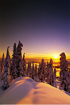 风景,日落,海岸山脉,不列颠哥伦比亚省,加拿大