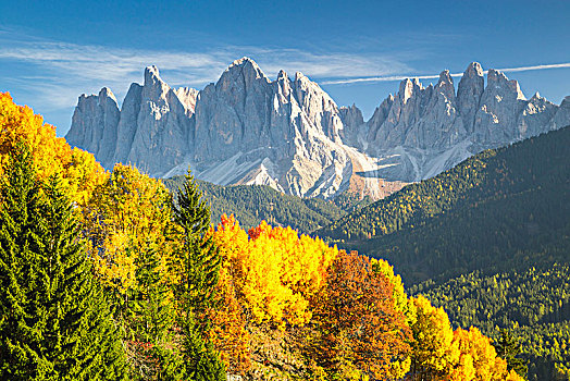 山,彩色,树,山谷,博尔查诺,省,特兰迪诺,意大利