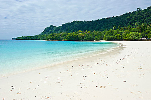 青绿色,水,白沙,香槟,海滩,岛屿,瓦努阿图,南太平洋