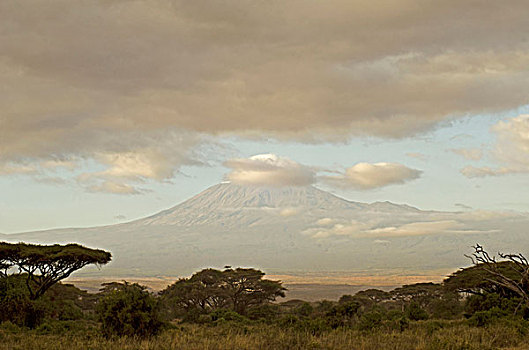 肯尼亚,安伯塞利国家公园,乞力马扎罗山,山,日出