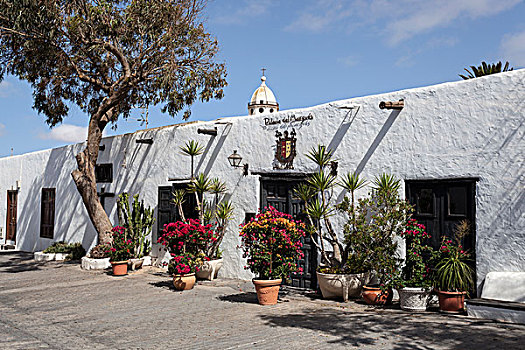 建筑,纪念品店,植物,特盖斯,兰索罗特岛,加纳利群岛,西班牙,欧洲