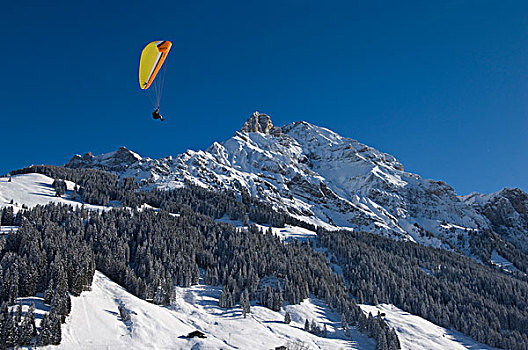 滑翔伞,阿德尔博登,伯恩高地,瑞士,欧洲