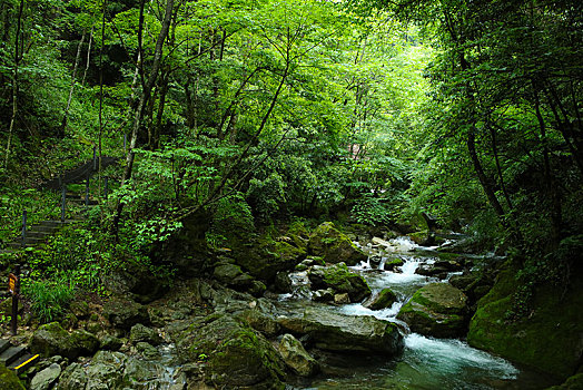 神农架,天生桥,风景,景点,旅游,高山,瀑布,河流,神秘,树木,植被,石头,鄂西,奇石,峡谷,壮观